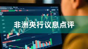 非洲央行议息点评